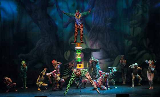 Cirque Dreams Holidaze