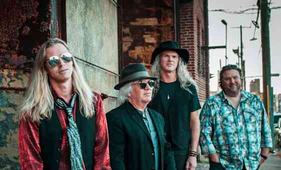 The Wildflowers - Tom Petty Tribute