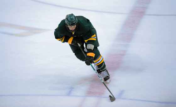 Rensselaer Polytechnic Engineers Mens Hockey vs. Vermont Catamounts Hockey