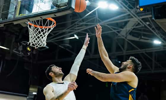 Northeastern Huskies at California Golden Bears Basketball