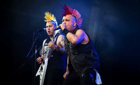 The Casualties