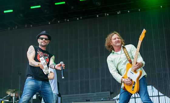 Gin Blossoms