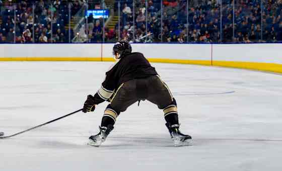 Hershey Bears at Rochester Americans