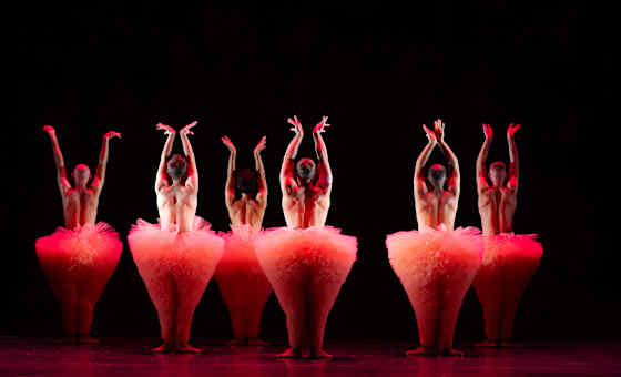 Tutu