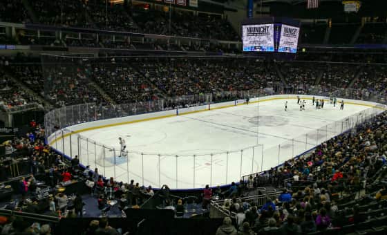 Greensboro Gargoyles at Jacksonville Icemen