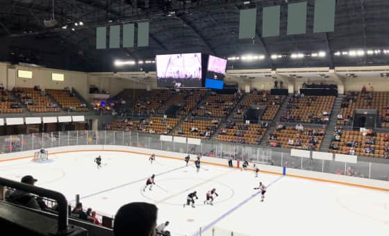 Quad City Storm at Knoxville Ice Bears