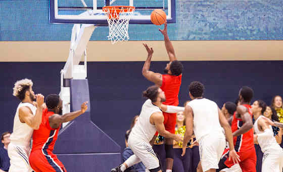 Towson Tigers at Stony Brook Seawolves Basketball