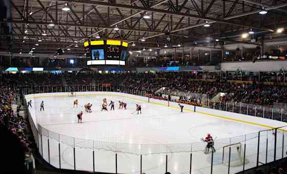 Sarnia Sting at Sudbury Wolves