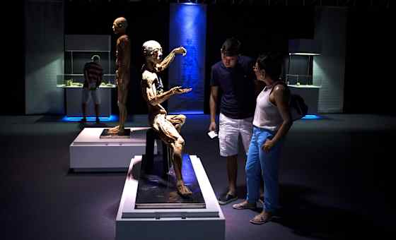 Bodies: The Exhibition