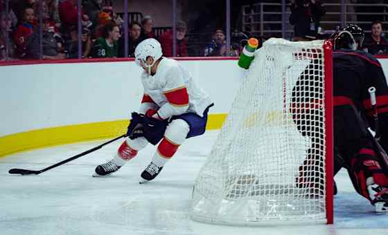 Anaheim Ducks at Florida Panthers