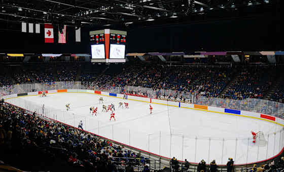 Sarnia Sting at Brantford Bulldogs