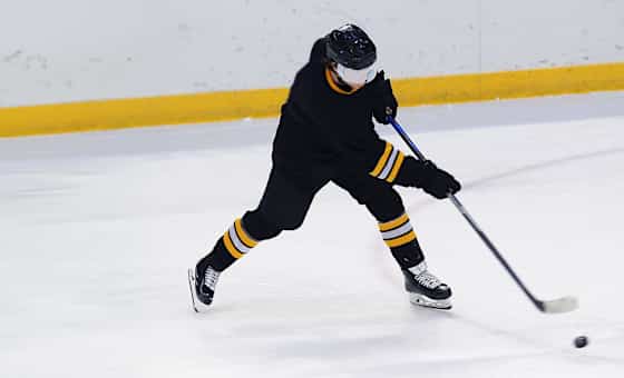 Green Bay Gamblers at Dubuque Fighting Saints
