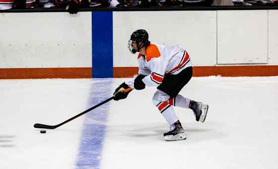 Guelph Gryphons at RIT Tigers Mens Hockey
