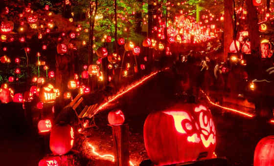 Jack O Lantern Spectacular