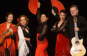 Entradas Flamenco Vivo