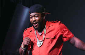 Gorilla Zoe Bilet