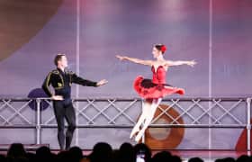 Ballet Stars Bilet