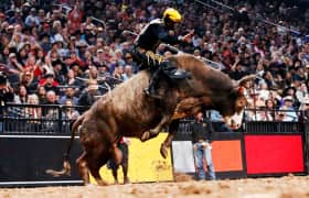 Entradas PBR Team Series