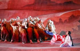 Houston Grand Opera Bilet