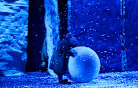 Slava's Snowshow Bilet