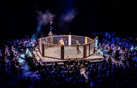 Entradas We Love MMA