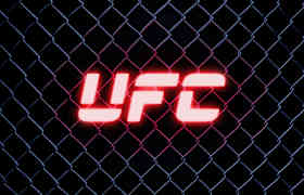 UFC Fight Night Bilet