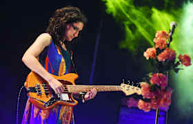 Entradas Hinds