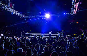 WWE Survivor Series Bilet