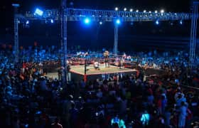 Entradas Triplemania