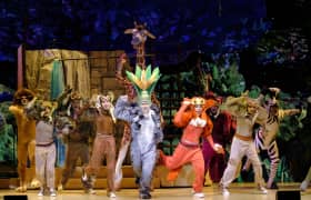 Madagascar Musical Bilet