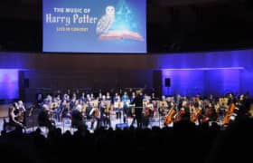 The Music of Harry Potter Bilet