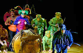 Cirque du Soleil Bilet