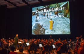 Entradas Drei Haselnüsse für Aschenbrödel