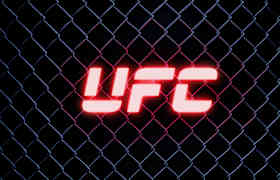 UFC Bilet