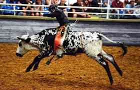Mesquite Championship Rodeo Bilet