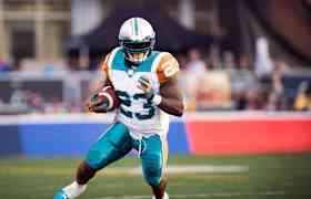 Bilety na Miami Dolphins