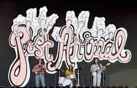 Entradas Post Animal