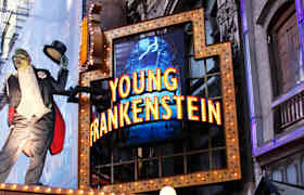 Entradas Young Frankenstein