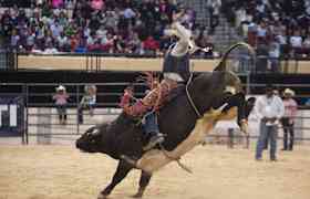 Entradas Bill Picket Invitational Rodeo