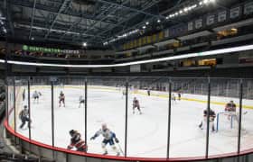 Entradas Toledo Walleye