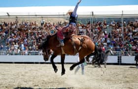 PRCA Championship Rodeo Bilet