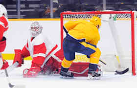 Nashville Predators Bilet