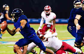 Billets FIU Panthers Football