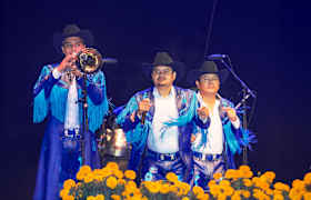 Entradas Banda Machos