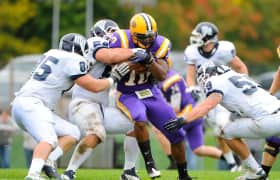 Entradas Albany Great Danes Football