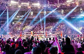 WWE Evolution Bilet