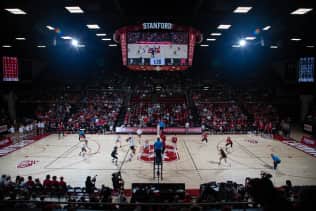 Stanford Cardinal Women's Volleyball