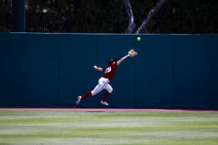 Stanford Cardinal Softball