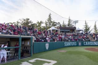 Stanford Cardinal Softball