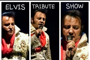 Elvis Tribute Artist